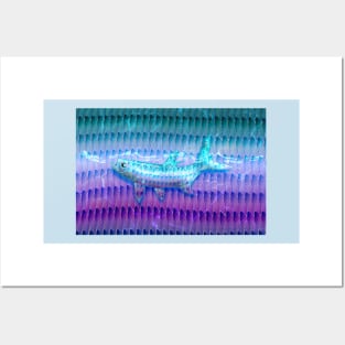 Tarpon Pearl Posters and Art